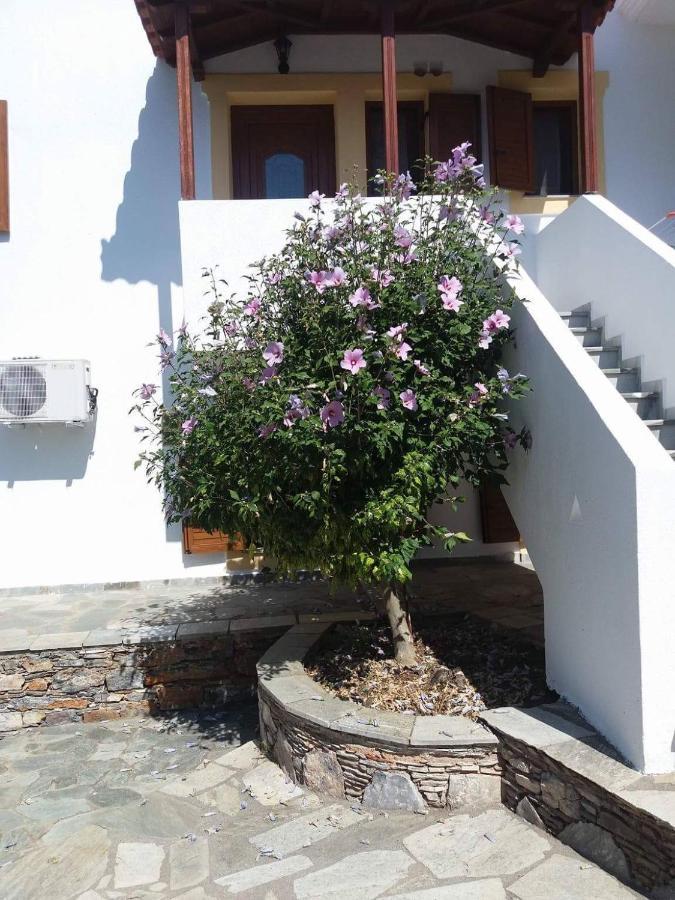 Niki Apartments Panormos  Dış mekan fotoğraf